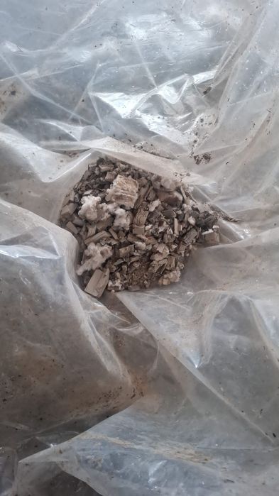 Reciclare catalizatoare auto si dpf