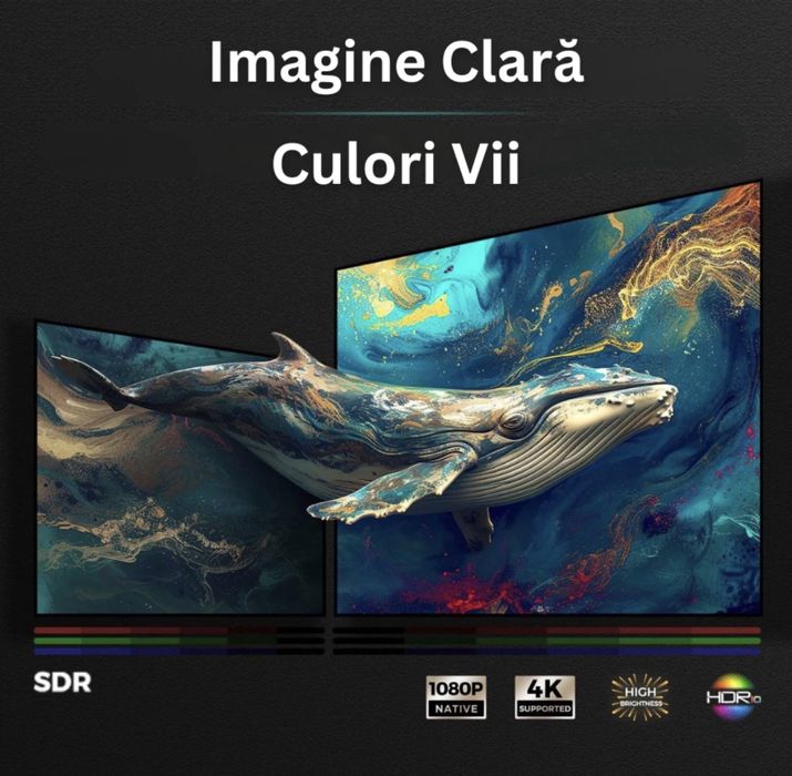 Videoproiector si Ecran de Proiectie