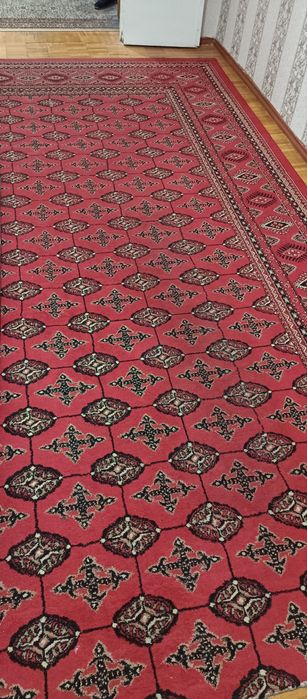 Кавр ГИЛАМ Хива..