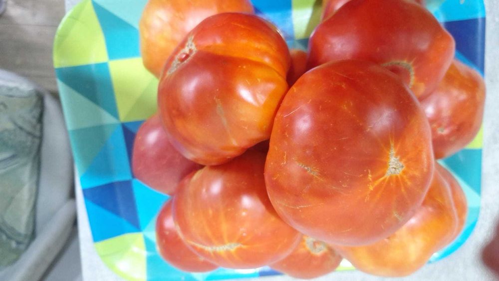 Produse bio din gradina proprie!