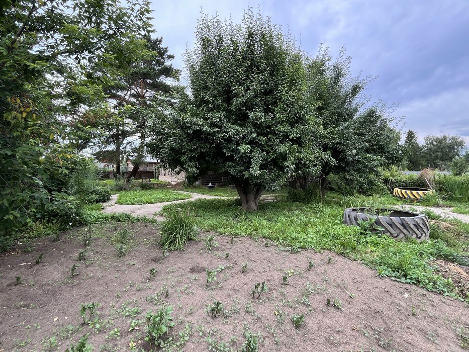 Дача, СТ Вагонник, 8 соток
