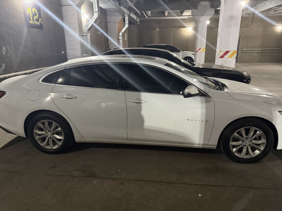 Malibu premier 2020 года