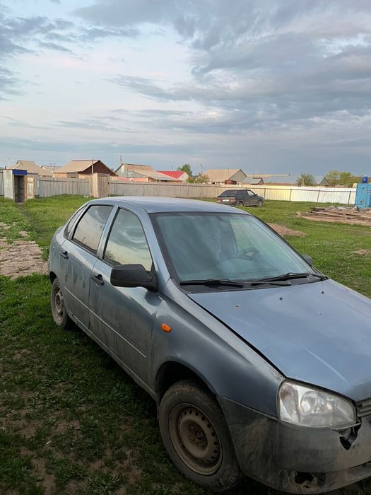 Калина продам срочно