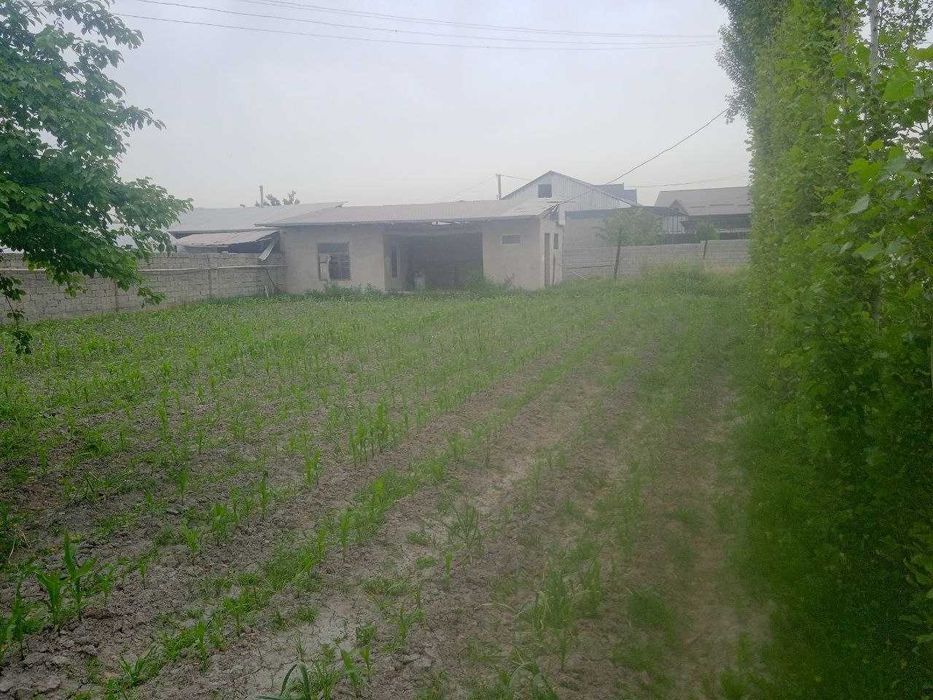 Yer uchastka 6 sotix