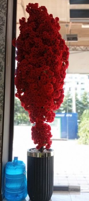 Divan,jurnalniy va sakura yengide