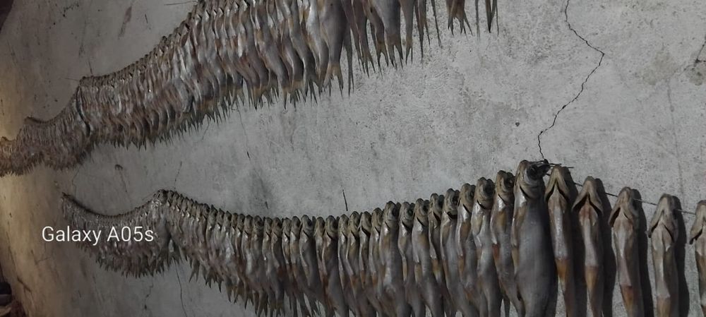 Рыбец сушеный...