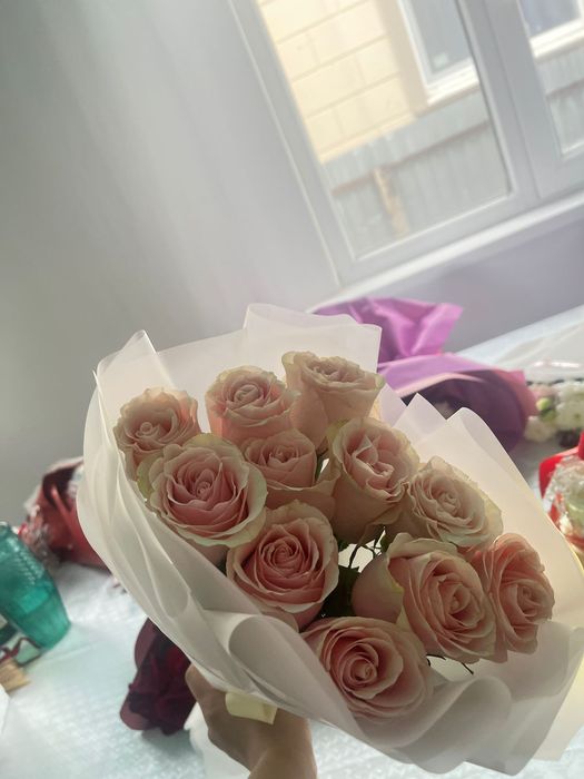 Гул сатылады бу арзан багада