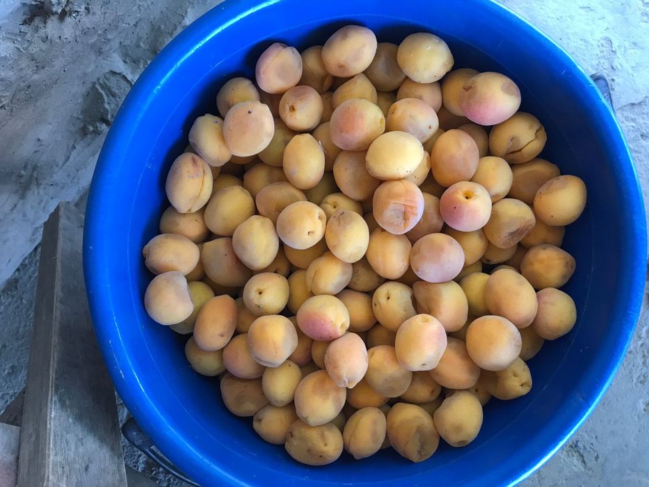 Өрік, вишня сатылады