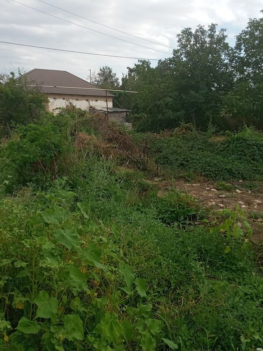 Участок в Таразе