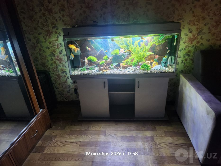 Продам свой аквариум 500 литров