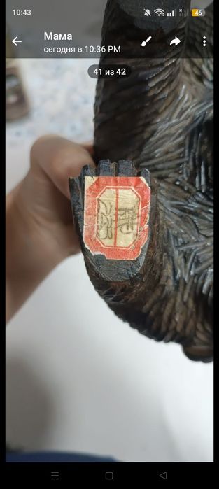 Медведи в хорошем состоянии