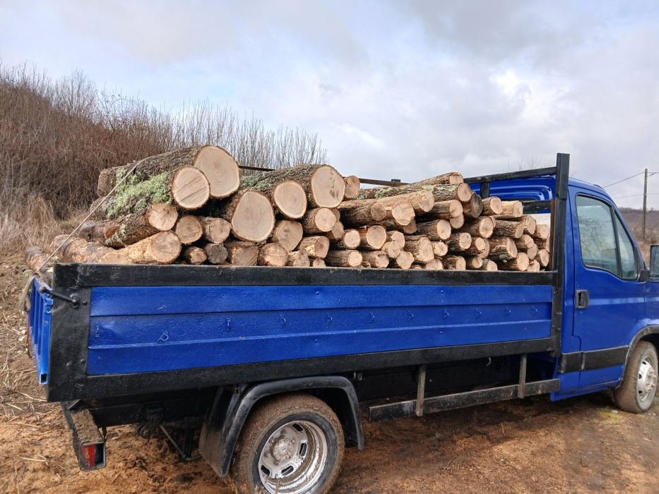 Vând lemne de foc , fag , stejar !!