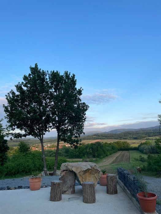 Lacul Surduc/ CabanA-lupu (A frame) de inchiriat + Ciubar