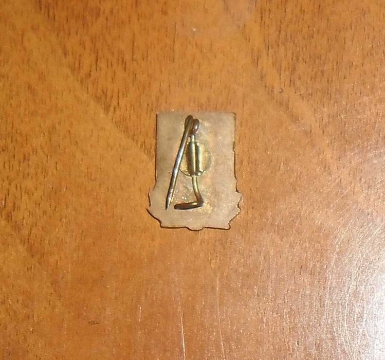 Lot două insigne purtate cândva de pionieri