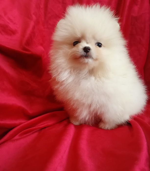 Счастье на ладошке