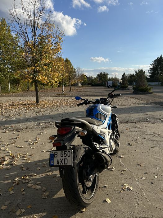 Suzuki sv650 Gladius A2