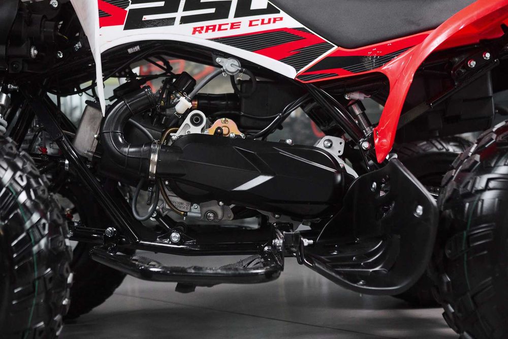 Квадроцикл Sharmax Raizer Race Cup 250
