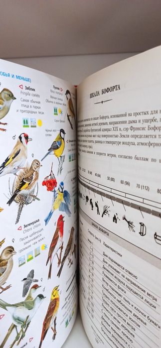 Книга для мальчиков