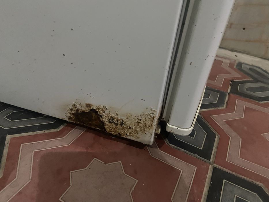 Холодильник Брюса