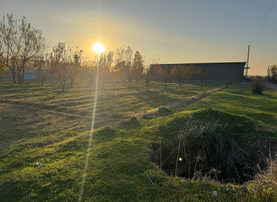 Dacha sotiladi 8 so'tik