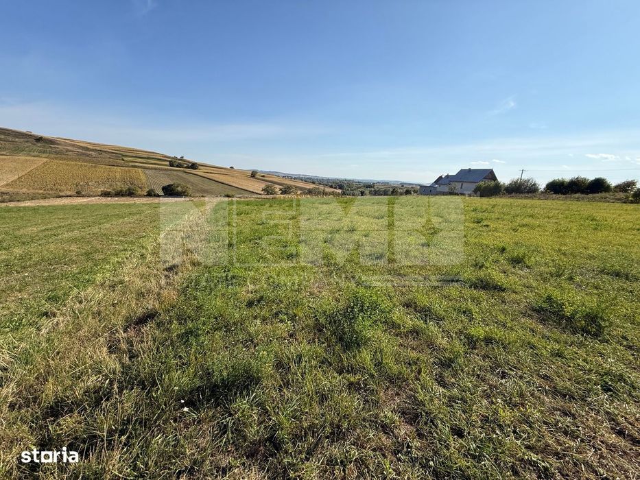 Teren intravilan Burla | 4.000 mp