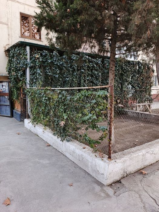 Киргули широткада квартира сотилади