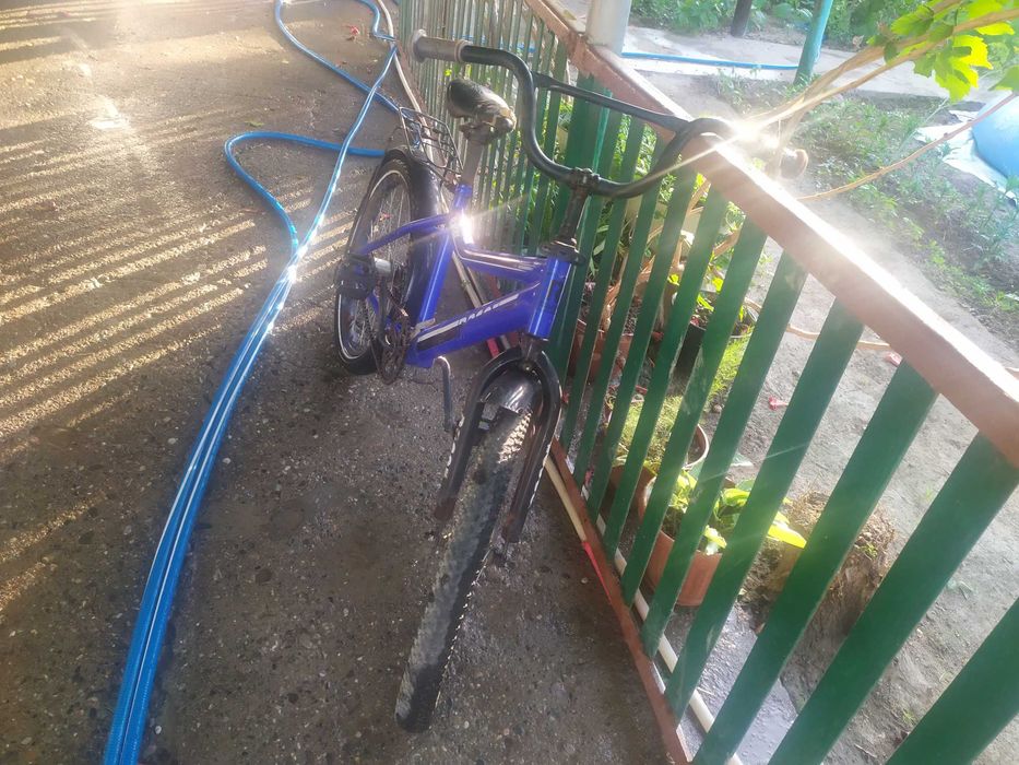 Velik sotiladi ideal holatda