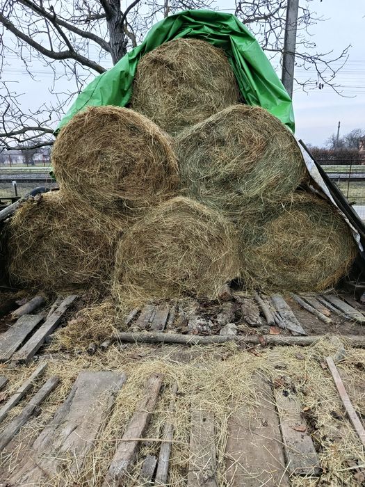 Vând baloți de fân amestecat cu lucernă