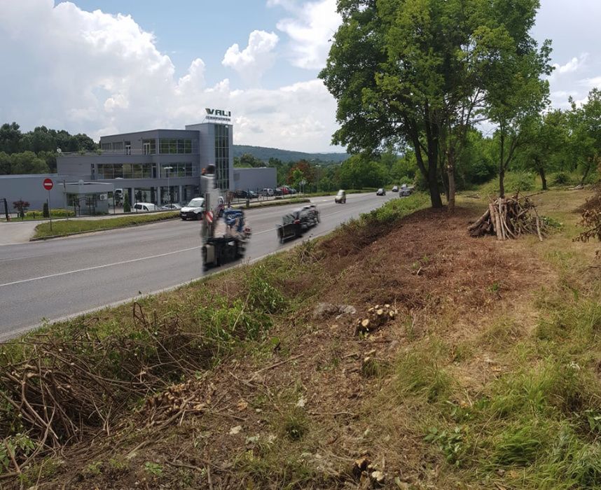 Продава се Парцел в Велико Търново, Света гора - 2711 кв.м за 56 €/кв.м - Снимка #2