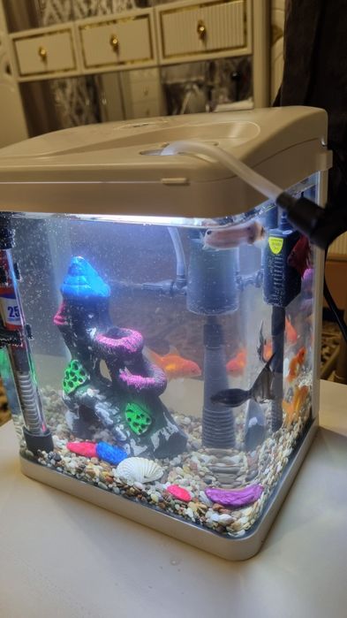 Хитой мини аквариум 7Л
Камплектида лампа сув филтр тошлари касри чгано