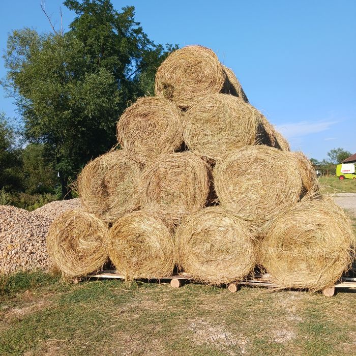 Baloti rotunzi lucerna 120x120 coasa 1