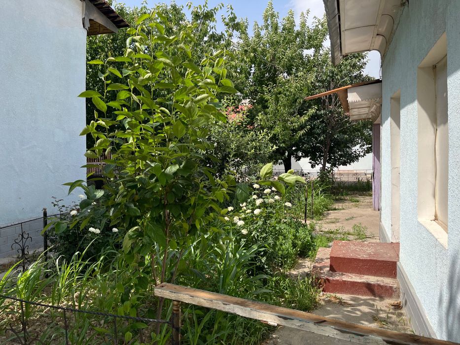 Участок, ташкентский район, куксарай, улица бахор