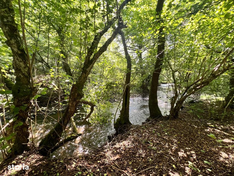 A/1652 De vânzare casă de vacanță în Câmpu Cetății