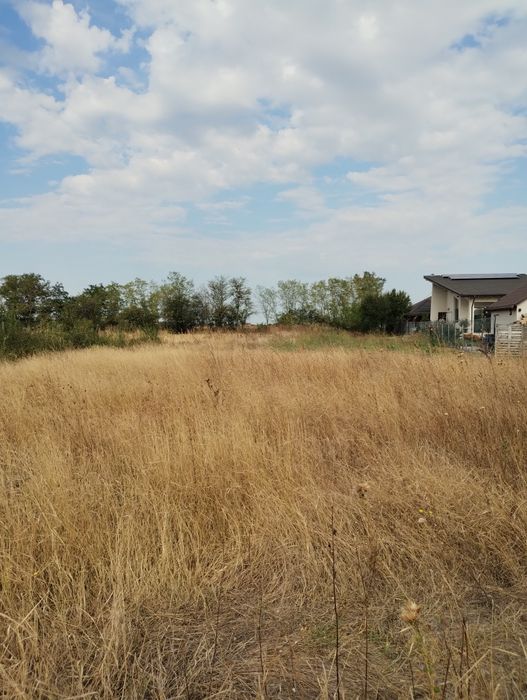 3300 mp intravilan, construibil, Tartasesti, utilitati