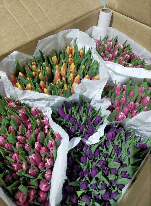Тюльпаны на 8 марта