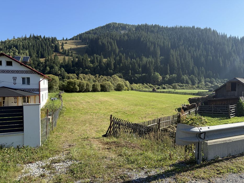 Vand teren in sat Ciocanesti jud Suceava