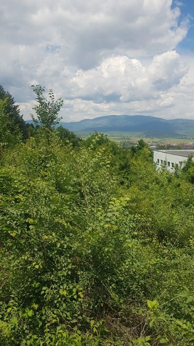 Продава се Парцел в Кюстендил, Център - 1430 кв.м за 77 €/кв.м - Снимка #2