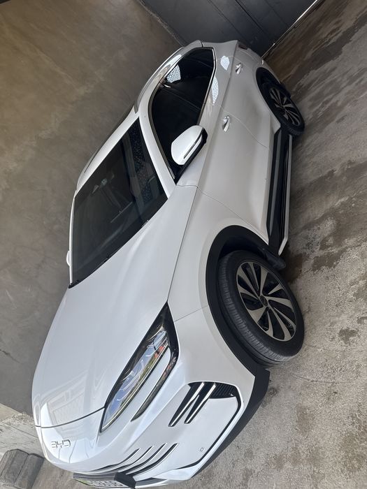 BYD song plus chempion