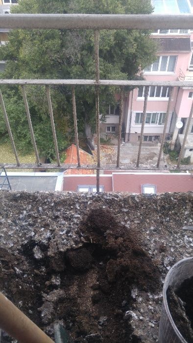 Обезпаразитяване на подпокривни пространства. Пръскане срещу хлебарки.