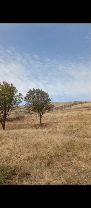 Yer uy sotiladi tovoqsoy