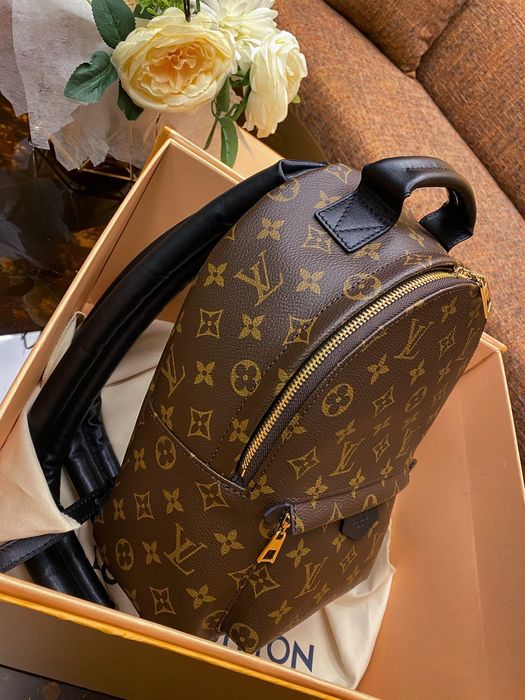 Rucsac ghiozdan Louis Vuitton Palm Springs, 21x29cm, tip Premium