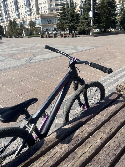 Лясик на дерт раме