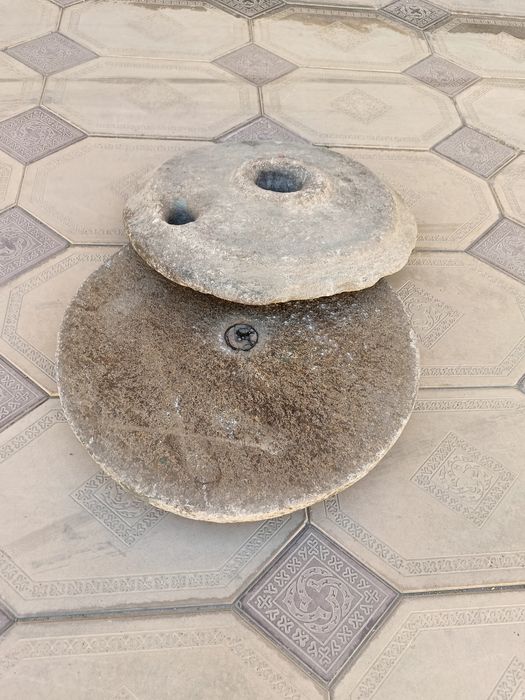 Дермен коне зат.