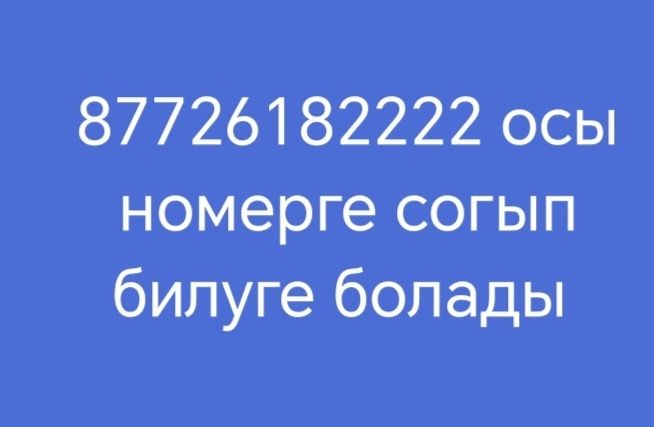 Бренд көйлек сатылады
