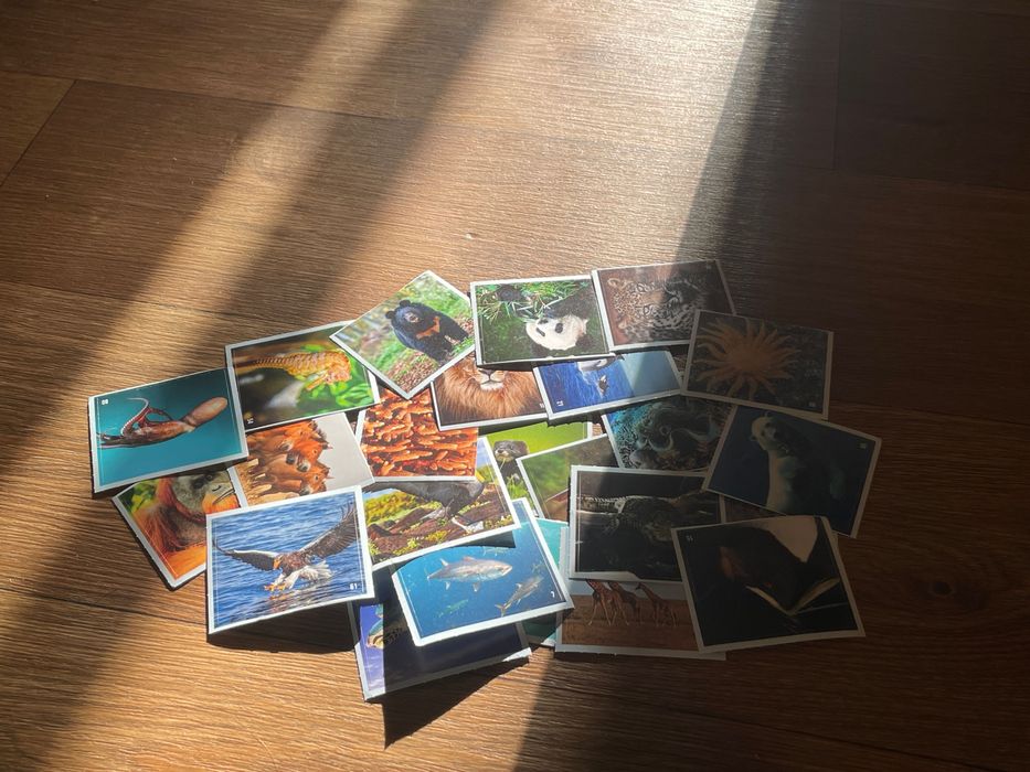 Стикери от невероятните животни