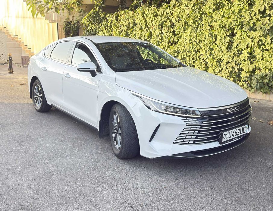 BYD Chazor 1 pozitsiya