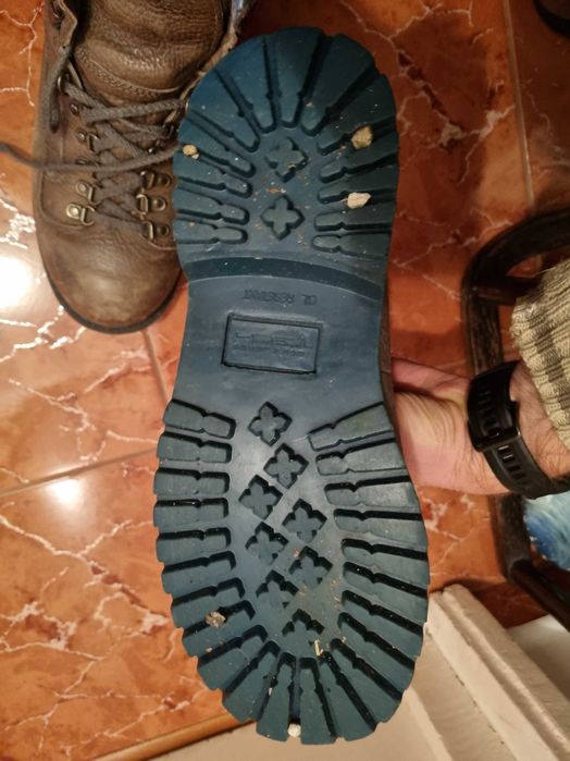 Bocanci in stare buna