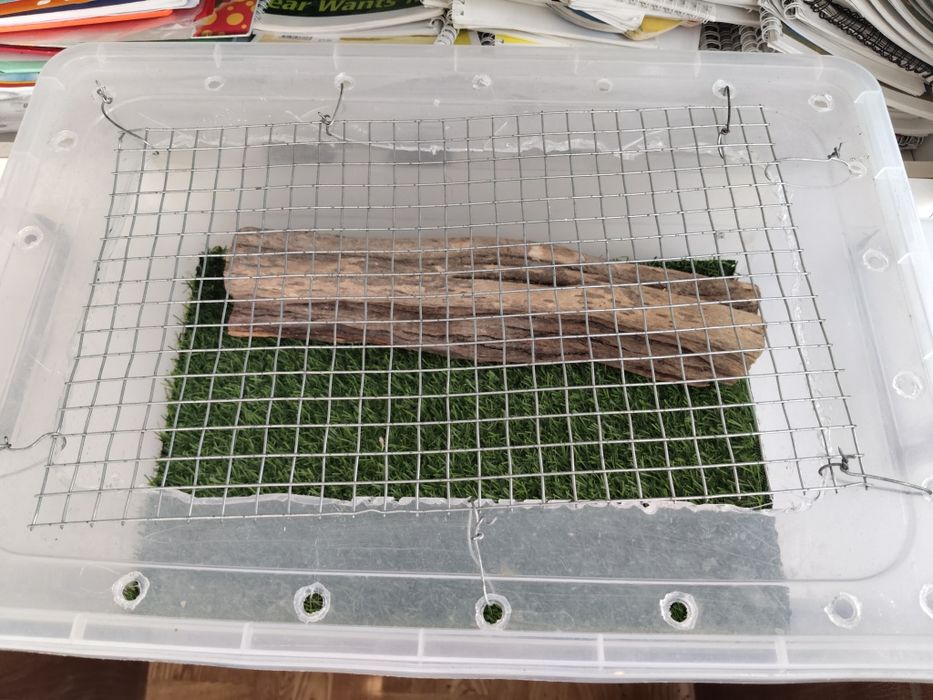 Террариум для рептилий