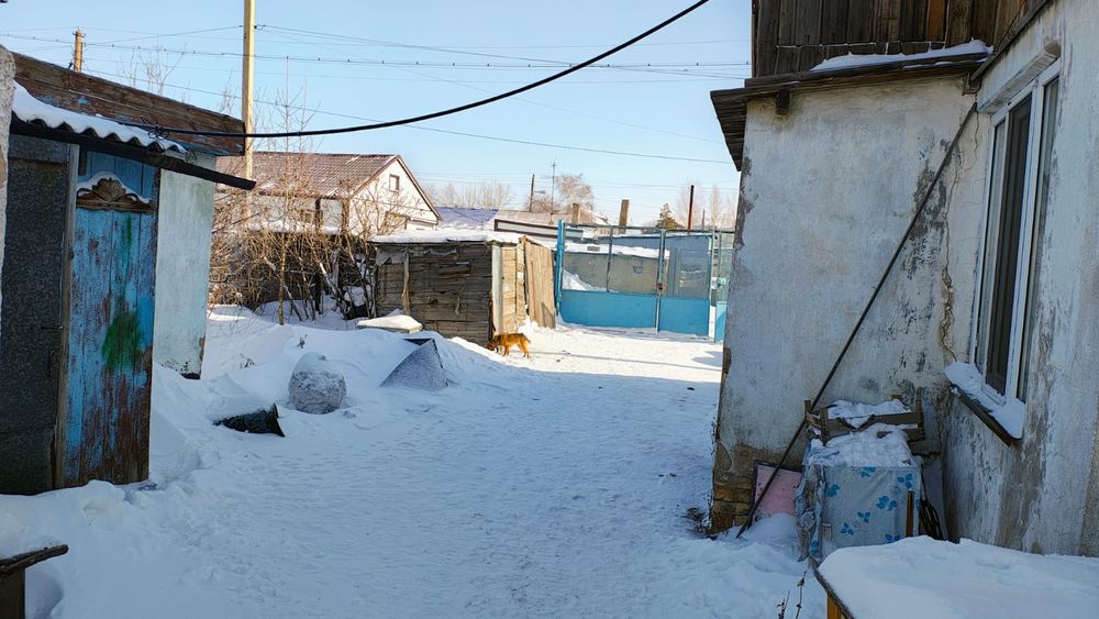 Продается дом на два хозяина.