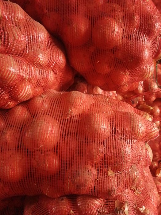 Лук репчатый хороший